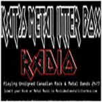 Kat's Metal Litter Box Rock & Radio in metallo